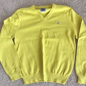 Express V-Neck Sweater